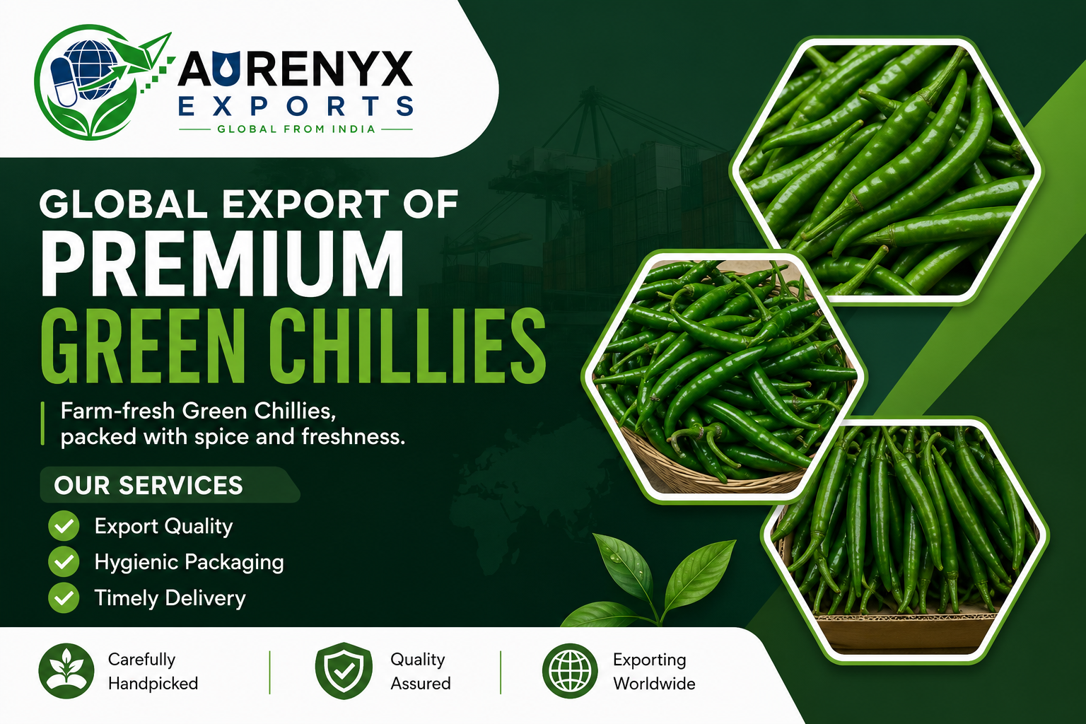 Aurenyx Exports — Premium Green Chilli Export