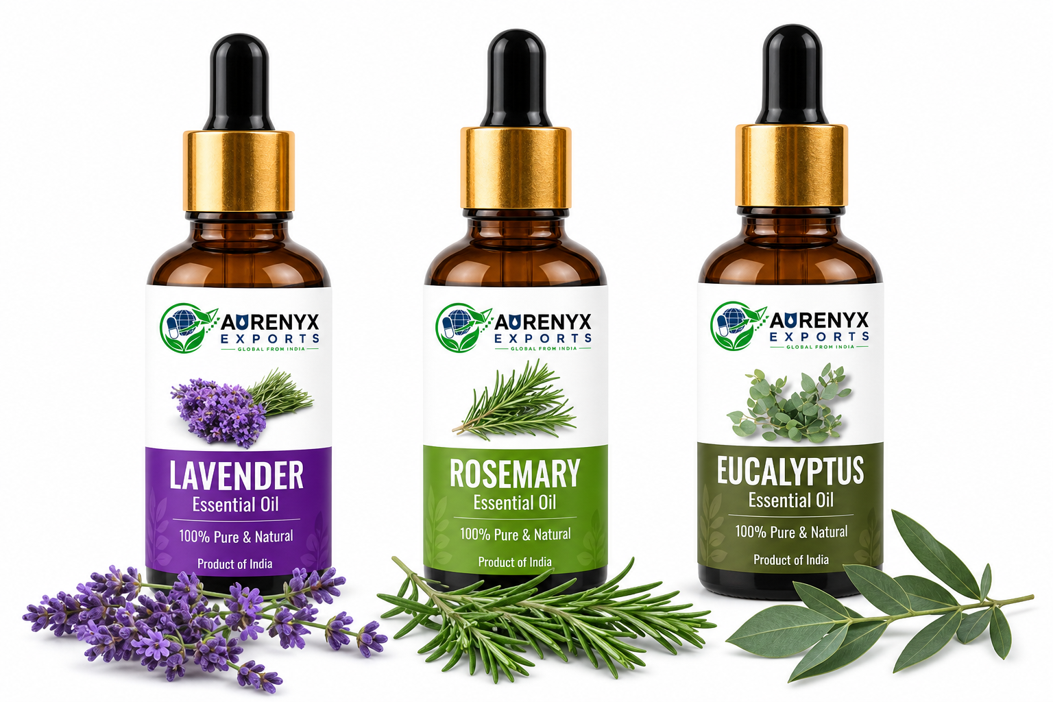 Aurenyx Exports — Lavender, Rosemary & Eucalyptus